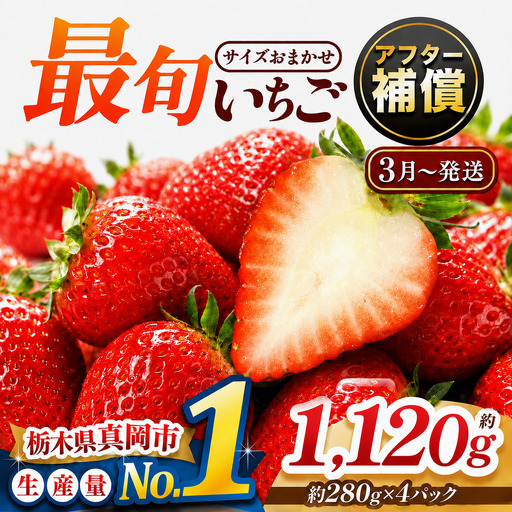 【先行予約受付中】【2027年3月発送】大人気！ 最旬とちあいか 約1120g 4パック いちご