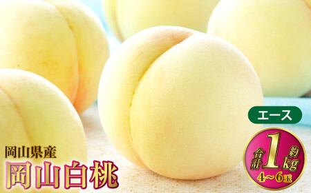 岡山白桃 エース 4〜6玉 約1kg 岡山県産[2026年7月上旬〜8月下旬発送予定] 白桃 桃 もも モモ