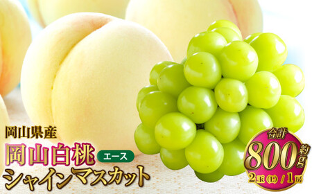 岡山県産 岡山白桃 エース Lサイズ 約200g×2玉・シャインマスカット 晴王 約400g×1房 詰合せ [2026年7月上旬〜8月下旬発送予定] 白桃 桃 もも モモ マスカット ぶどう 葡萄 ブドウ セット