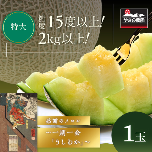 感謝のメロン 「うしわか」 1玉 ≪先行予約≫ フルーツ メロン【FN1268-1】