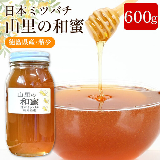 日本みつばち 蜂蜜600g はちみつ 山里の和蜜 【 はちみつ 】
