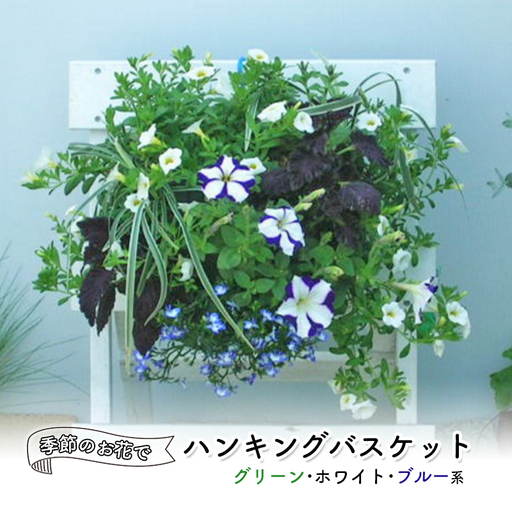 花 季節のお花でハンキングバスケット 植物 ガーデニング 花