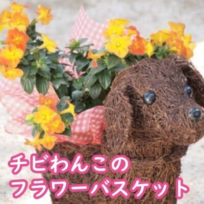 チビわんこのフラワーバスケット（1匹） 植物 