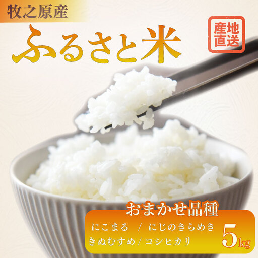 【R8 新米】お米 5kg 品種 おまかせ 【 にこまる にじのきらめき きぬむすめ コシヒカリ 】牧之原市