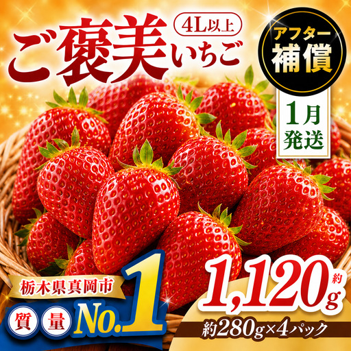 【先行予約受付中】【2027年1月発送】ご褒美いちご とちあいか 4L以上 約1120g 280g×4パック