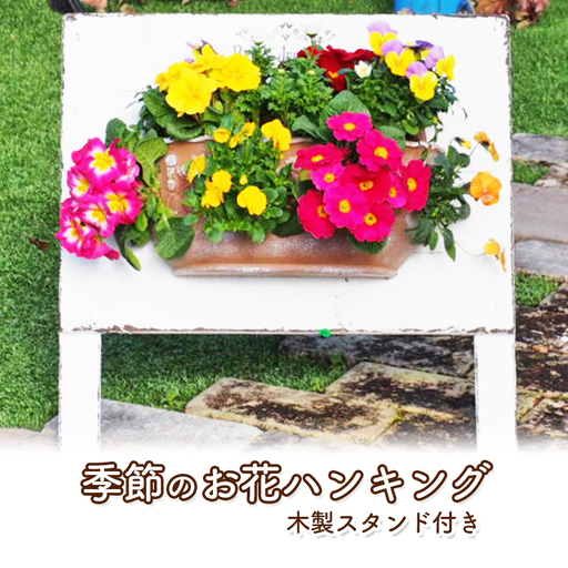 植物 季節のお花のハンキング 木製スタンド付き 花 植物