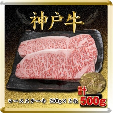 神戸牛 ロースステーキ 250g×2枚 計500g TSST5【配送不可地域：離島】【1682634】