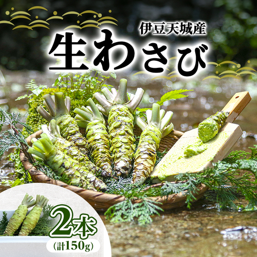 生わさび 伊豆天城産 2本 計150g 調味料 薬味 生わさび