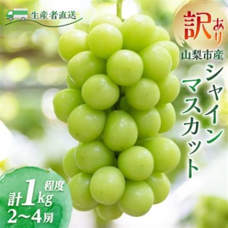 【2026年発送】訳あり!生産者直送シャインマスカット 計1kg【味には妥協なし!】【配送不可地域：離島】【1681114】