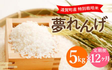 【12ヶ月定期便】 特別栽培米 夢れんげ 5kg×1袋 合計60kg 精米 米 コメ 定期便 【2025年10月下旬発送開始】