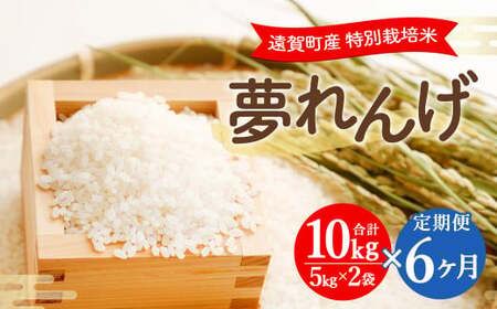 【6ヶ月定期便】 特別栽培米 夢れんげ 10kg×1袋 合計60kg 精米 米 コメ 定期便 【2025年10月下旬発送開始】