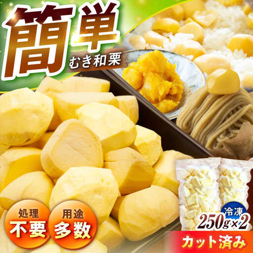 【先行予約】冷凍むき栗「日本栗」 カット500g（250g×2P） / 恵那市 / えな笠置山栗園 [AUAV006]