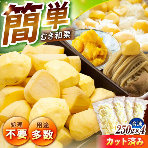【先行予約】冷凍むき栗「日本栗」 カット1kg（250g×4P） / 恵那市 / えな笠置山栗園 [AUAV007]