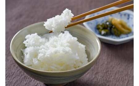 【令和7年産】嘉麻市産 夢つくし 11kg 清らかな水で育った 福岡県産 特別栽培米