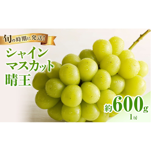[2026年先行受付] シャインマスカット 晴王 秀品 約600g 1房 岡山県産 シャインマスカット