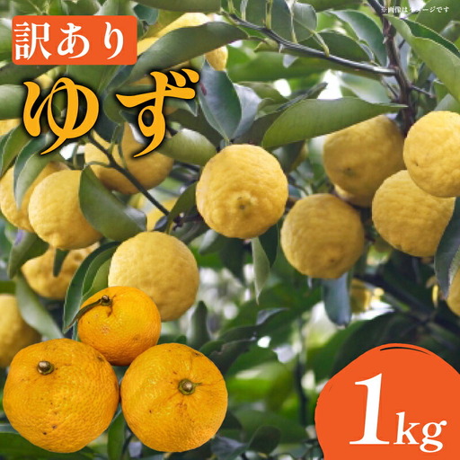 訳あり ゆず 1kg 家庭用