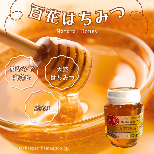 信州特産!!「国産純粋 天然 百花はちみつ」250g|ハチミツ 蜂蜜 [YY-102-01]