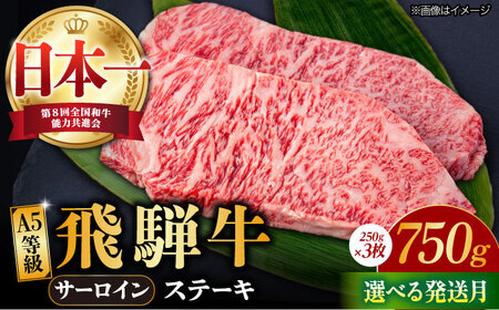 【9月発送】【飛騨牛】 A5等級 サーロイン ステーキ用 3枚 (計750g) 和牛 ブランド牛 国産 牛肉 多治見市 / 渡辺精肉店 [TAZ001-9]