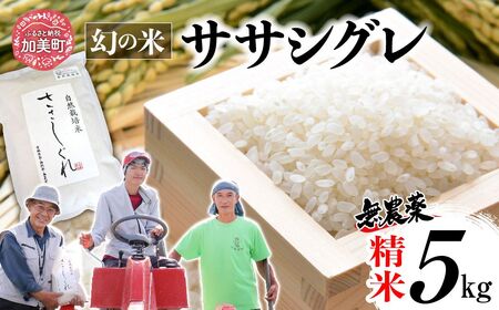 令和7年産 ササシグレ 精米 5kg | nt-ss05-r7
