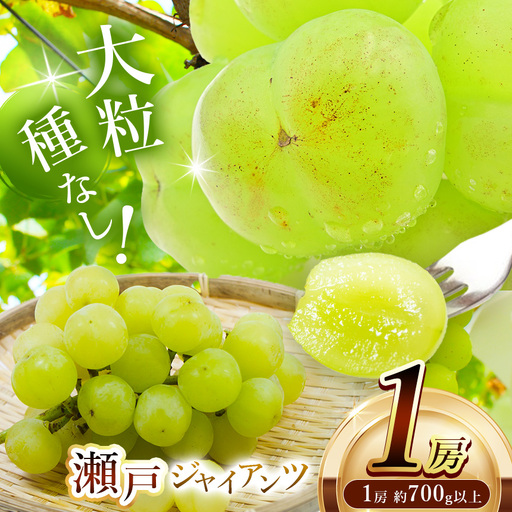 [先行予約]瀬戸ジャイアンツ 1房約700g〜 | フルーツ ぶどう 詰合せ 兵庫県 上郡町[発送は2026年9月1日〜2026年9月30日頃予定]