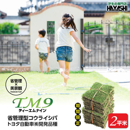 TM9（ティーエムナイン）省管理型 コウライシバ トヨタ自動車(株)開発品種 2平米 KN080-007-02 芝生 芝 庭
