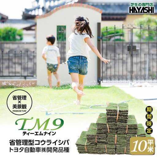 TM9（ティーエムナイン）省管理型 コウライシバ トヨタ自動車(株)開発品種 10平米 KN080-007-03 芝生 芝 庭