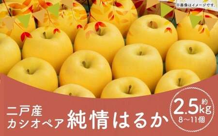 二戸産 カシオペア 純情はるか 約2.5kg （個数：8個～11個） 【2026年12月上旬～下旬発送予定】 ／ 林檎 リンゴ フルーツ 果物 はるか 国産フルーツ 岩手県 二戸市 常温