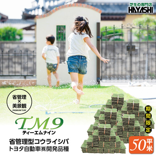 ( ティーエムナイン ) 省管理型コウライシバ トヨタ自動車(株) 開発品種 50平米 KN080-007-05 庭