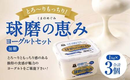 とろ〜り食感!!球磨の恵みヨーグルト 加糖タイプ 1kg×3パック