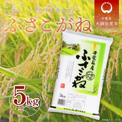 新米 令和8年産 千葉県産「ふさこがね」5kg(5kg×1袋)