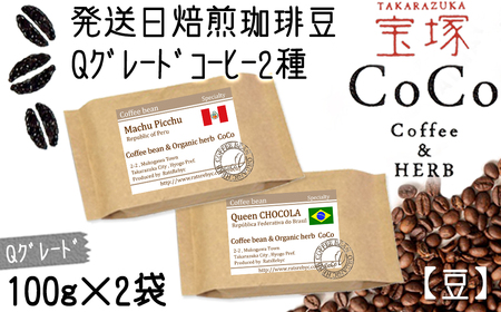 【宝塚】発送日焙煎珈琲 Qグレードコーヒー100g×2種（マチュピチュ・ショコラ）【豆】