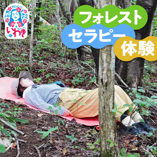 フォレストセラピー体験(森林浴×マインドフルネス瞑想体験)1回分 