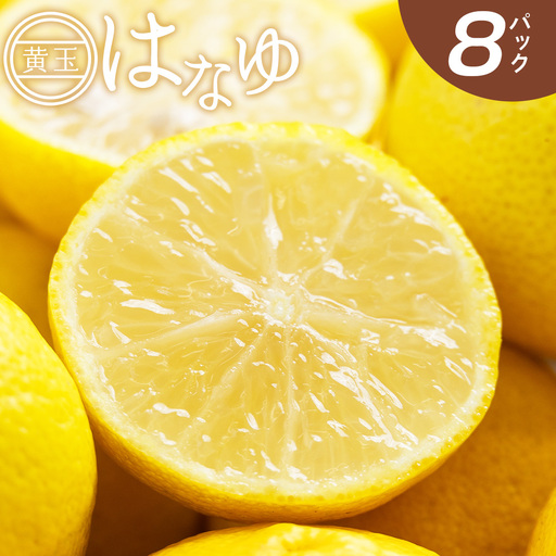 [2026年11月以降順次配送]花柚子(黄玉) 8パック 柚子 hy-0003