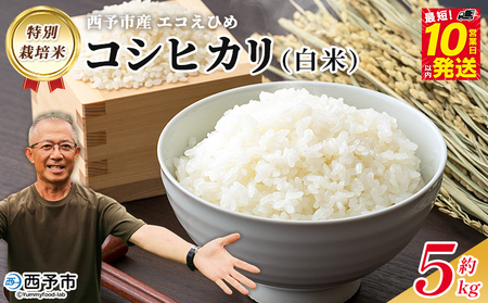 ＜令和7年産 西予市産 特別栽培米 エコえひめ コシヒカリ 白米 約5kg＞国産 精米 農薬・化学肥料不使用 一等米 約5キロ 愛媛県産 こしひかり お米 米 コメ 産地直送 送料無料 シゲちゃん農園 愛媛県 西予市【常温】『最短10営業日以内に順次発送予定』NSN0001