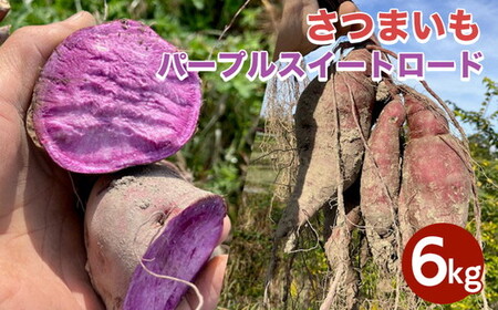 自然栽培 紫芋 さつまいも 6kg パープルスイートロード