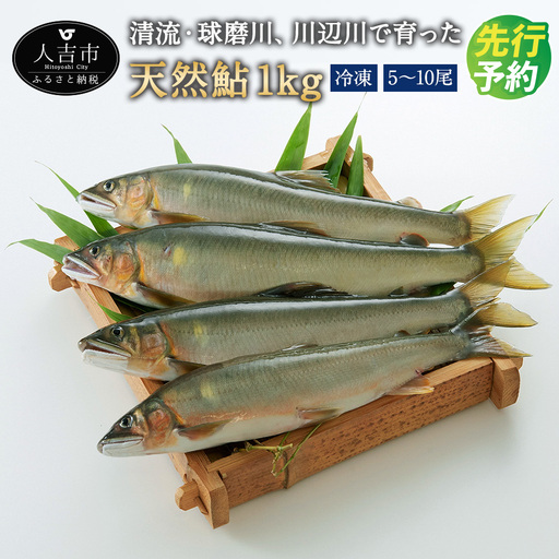 天然鮎（冷凍）約1kg 5～10尾 鮎 あゆ 魚 魚介類 九州産 熊本県産 人吉産