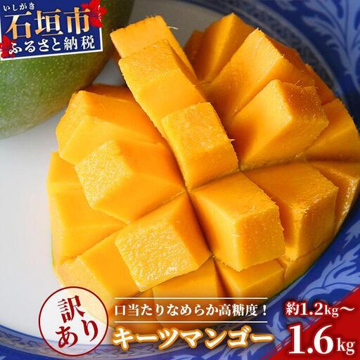 ＜予約受付＞【訳あり】沖縄県石垣島産 キーツマンゴー 約1.2kg～1.6kg