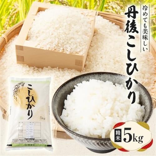【令和7年産米】京都府与謝野町産 丹後コシヒカリ 精米5kg　もちもちとした食感が特徴のおいしいお米【1686748】