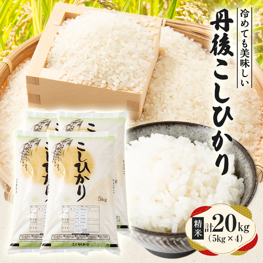 【令和7年産米】京都府与謝野町産 丹後コシヒカリ 精米20kg　もちもち食感が特徴のおいしいお米【1686755】
