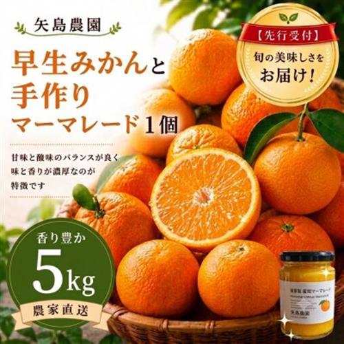 早生みかん5kg★蜜柑マーマレード入り★甘味と酸味のバランスが良く果肉もジューシー!