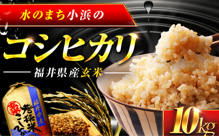 福井県産 コシヒカリ 玄米 10kg 一等級 /甘みと粘りが自慢 王道米 こしひかり 小浜市 / 若狭ふれいあい市場[BFEL001]