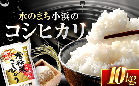福井県産 コシヒカリ 精米 (白米) 10kg 一等級 福井県米 /甘みと粘りが際立つ 王道米 こしひかり 小浜市 / 若狭ふれあい市場[BFEL018]