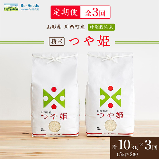 【毎月定期便】山形県産特別栽培米「つや姫」10kg(5kg×2袋)全3回【4076722】