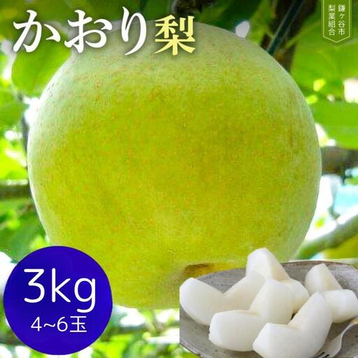 [かおり3kg]かまがやの梨