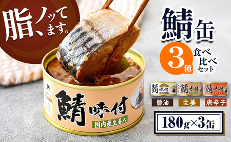 サバ缶 若狭 3種 詰め合わせ 缶詰 備蓄 サバ缶