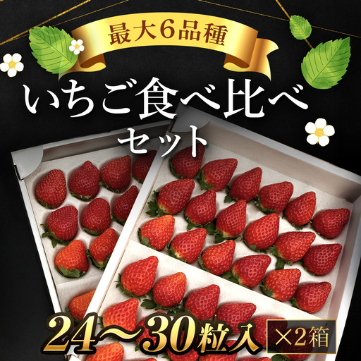 【先行予約】【2027年1月中旬より順次発送】いちご食べ比べセット（最大6品種の食べ比べ） SMAN064