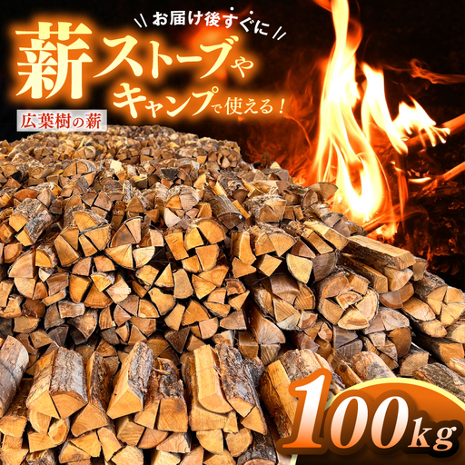 薪 信州産 広葉樹の薪 薪1箱 約20キロ×5箱 合計100キロ 薪長さ：35cm【040-11】