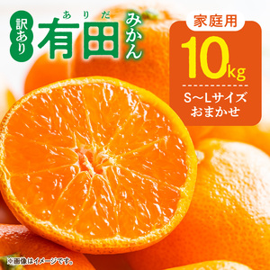 【2027年1月発送】ご家庭用 有田みかん 和歌山 S～Lサイズ 大きさお任せ 約10kg_DZ6201_01