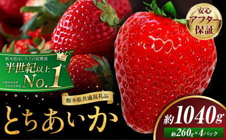 栃木いちごとちあいか4パック