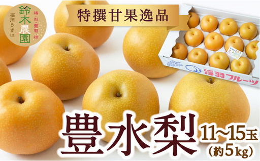 【先行予約】 鈴木農園 特撰甘果逸品 豊水梨 11玉から15玉 （約5kg） 【2026年8月下旬～9月上旬より順次発送予定】